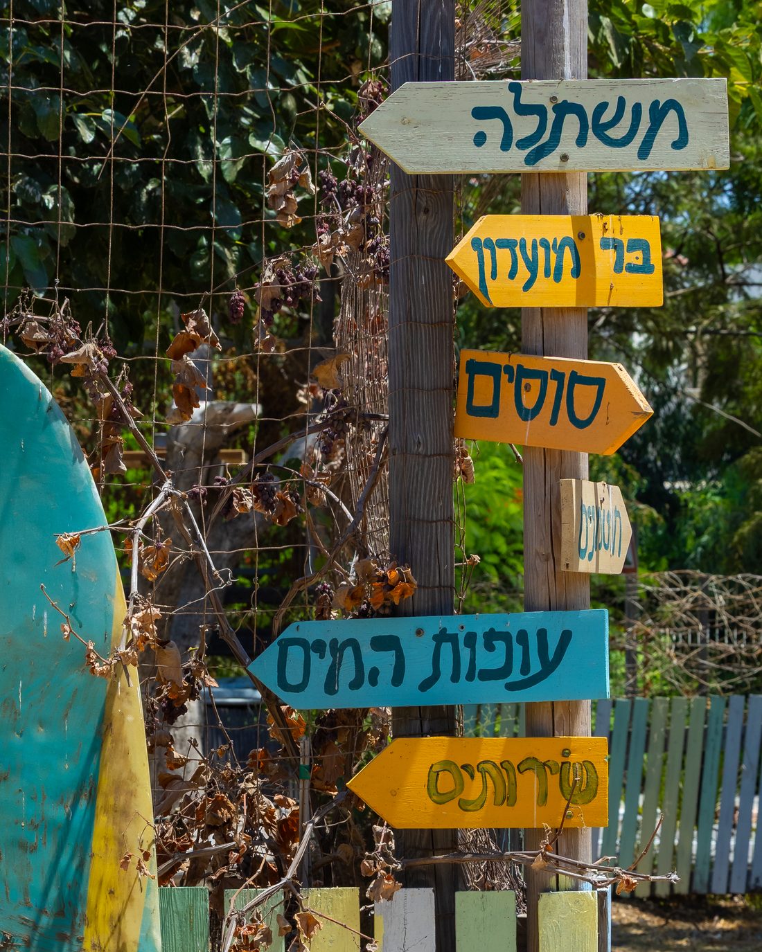 Colorful wooden signs at the farm pointing to the nursery, club bar, horses, waterfowl and bathrooms