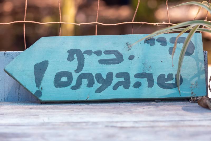 חן שצברגר