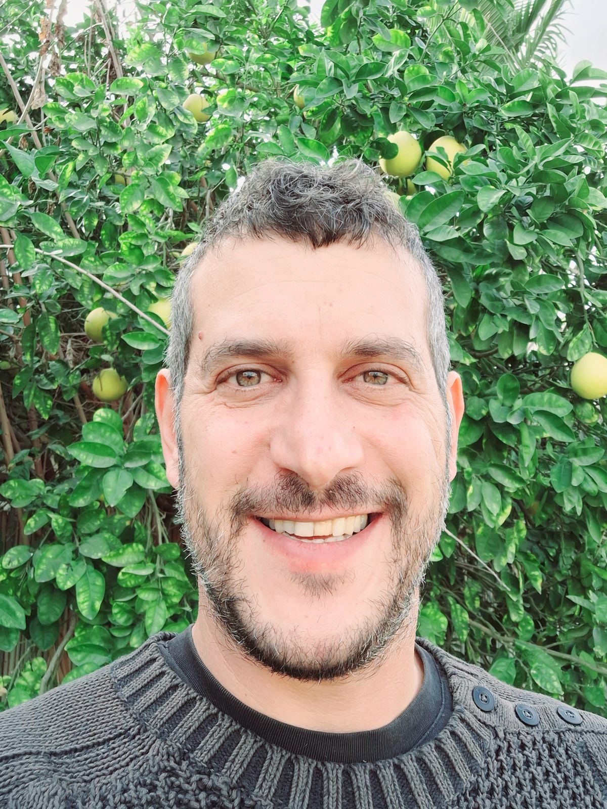 גיא פלומן